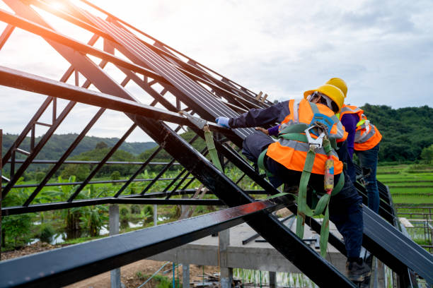 Best Roof Leak Repair  in Mayville, ND