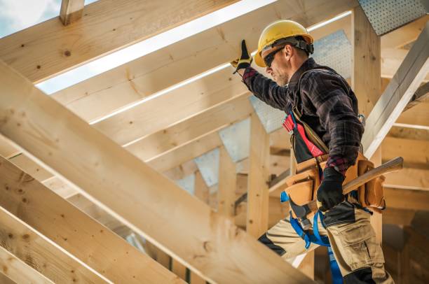 Best Roof Maintenance Services  in Mayville, ND