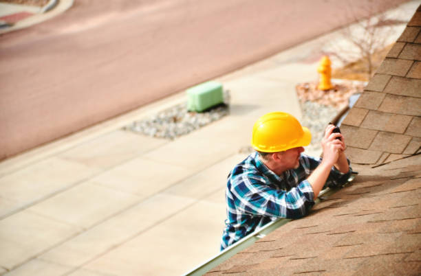 Best Roof Repair Services  in Mayville, ND
