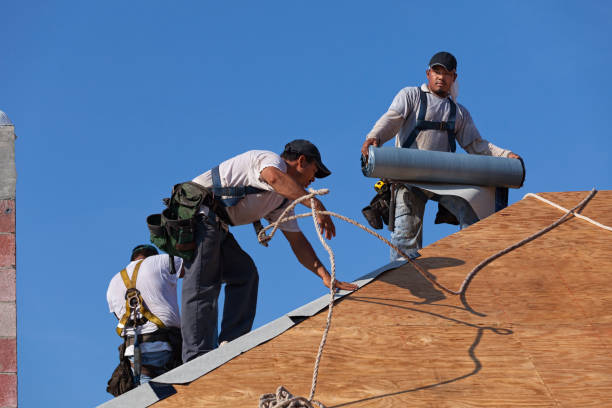 Best New Roof Installation  in Mayville, ND