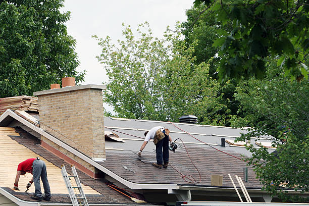Roof Gutter Cleaning in Mayville, ND