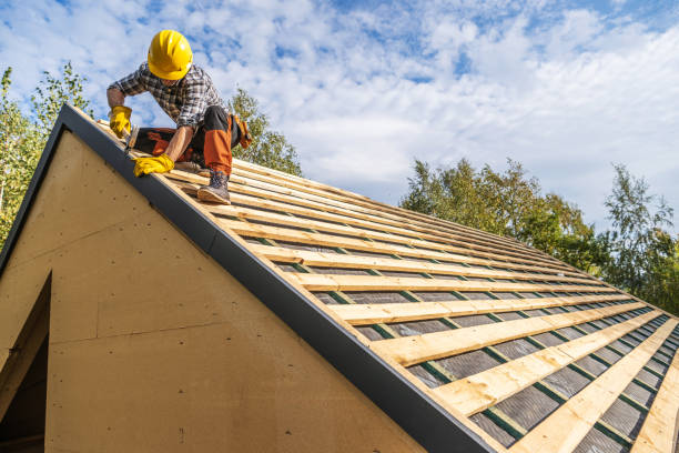 Best Residential Roofing Contractor  in Mayville, ND