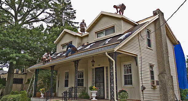 Best New Roof Installation  in Mayville, ND