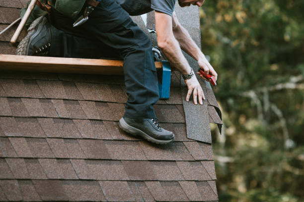 Best Storm Damage Roof Repair  in Mayville, ND